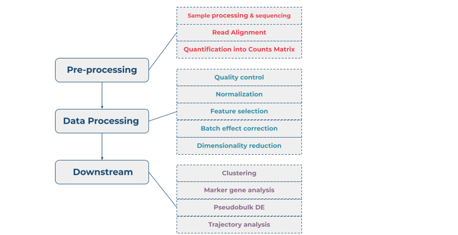 Highly Customizable Multi-sample Single Cell RNA-Seq Pipeline on CGC
